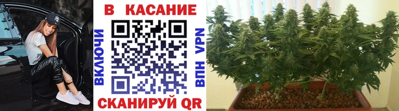 Где купить наркотики Янаул ГАШИШ Кодеин МЕФ Амфетамин