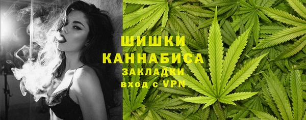 шишки Бугульма