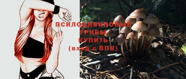 спиды Богданович